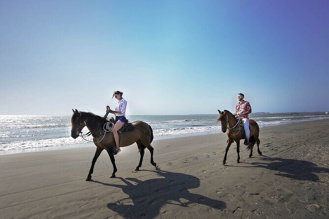Private Mangrove Tour + Lunch + Horse riding + fishing classes - Who Will Love This Tour?