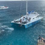 Private MBJ Airport Transfers to Hotels in Jamaica (Round Trip) - Why This Transfer Service Shines