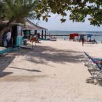 Private Montego Bay Beach Day Tour from Falmouth - A Closer Look at the Itinerary and Experience