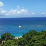Private Montego Bay Highlights Tour - Authentic Experiences and Local Insights