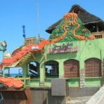 [PRIVATE] Montego Bay Highlights Tour - What Makes This Tour Stand Out?