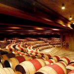 Private Montes Winery (7th World Best Wine) & Transfer to Hotel - Practical Details and Tips