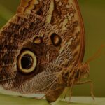 Private Natural History Walk in Monteverde - FAQs