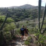 Private nature tour: Aruba's highest point & pristine coral reef - Detailed Breakdown of the Itinerary