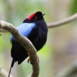 Private Nature Tour in Cabo Blanco Park Costa Rica - Price and Value