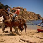 Private North Coast Day Trip - Whats Included and What to Keep in Mind