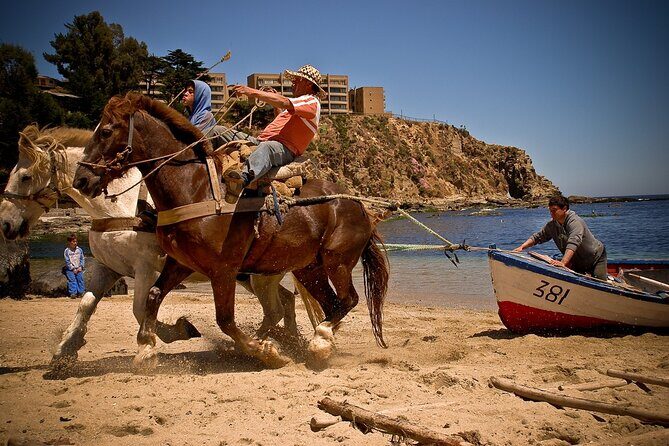 Private North Coast Day Trip - Whats Included and What to Keep in Mind