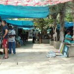 Private Ocho Rios Tour with Dunn's River Falls and Lunch - The Sum Up