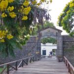 Private Old City Birdwatching - Final Thoughts