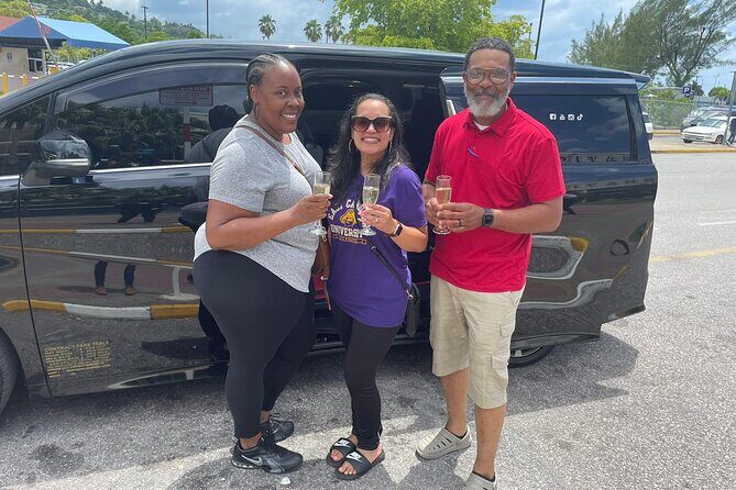 Private One-Way Airport Transfer to Princess Grand Jamaica - Who Will Benefit Most from This Transfer?