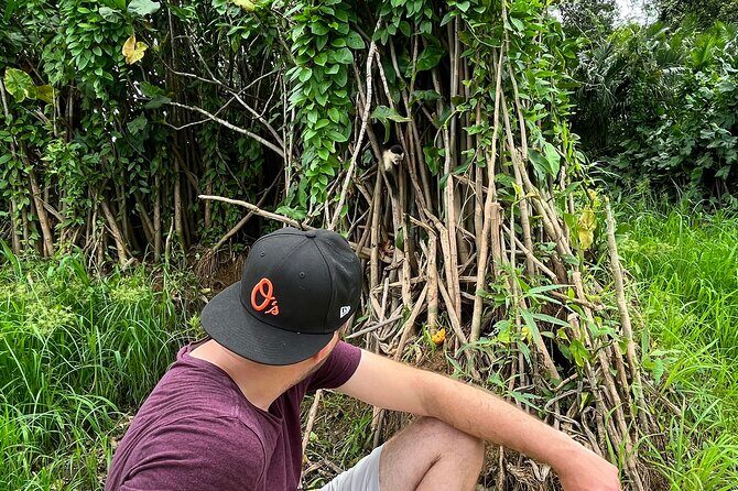 Private Panama Canal Boat + Wildlife Search - Authentic Encounters with Panama’s Wildlife