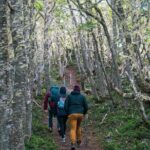 Private Patagonian Forest Hike in Punta Arenas: 4 Hour - Frequently Asked Questions