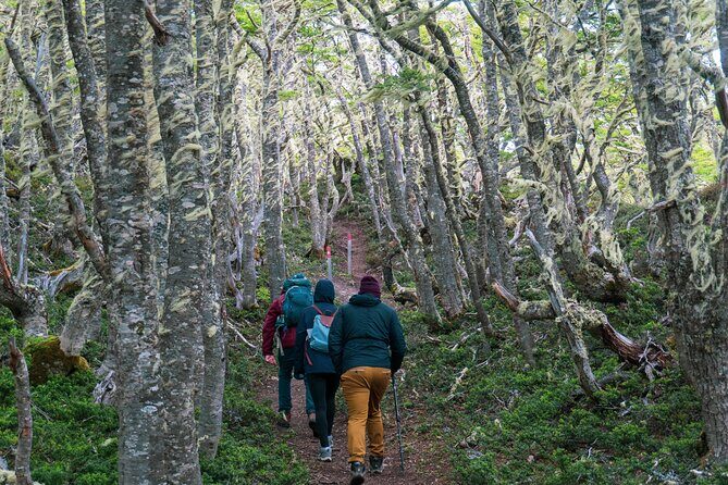 Private Patagonian Forest Hike in Punta Arenas: 4 Hour - Frequently Asked Questions