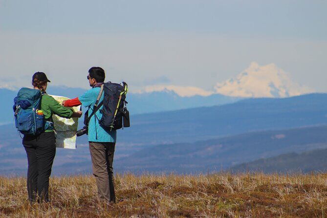 Private Patagonian Forest Hike in Punta Arenas: 6 Hour - Why Choose This Tour?