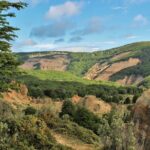 Private Patagonian Forest Hike in Punta Arenas: 8 Hour - The Sum Up