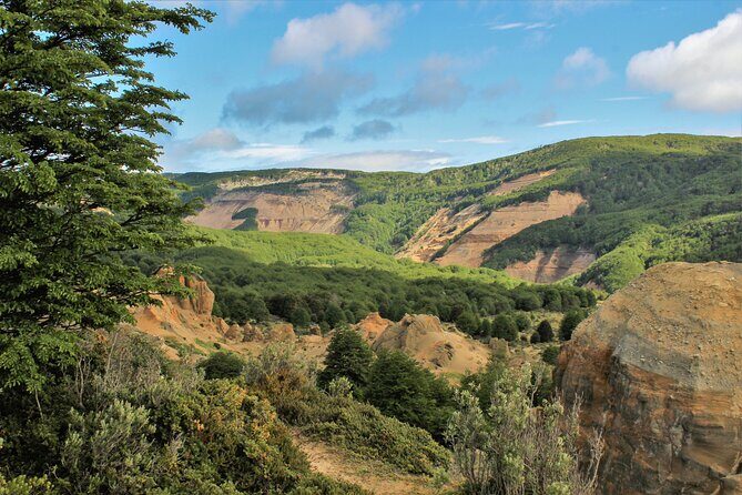 Private Patagonian Forest Hike in Punta Arenas: 8 Hour - The Sum Up