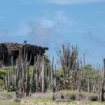 Private Photography Tour - Why This Tour Gives You More Than Just Photos