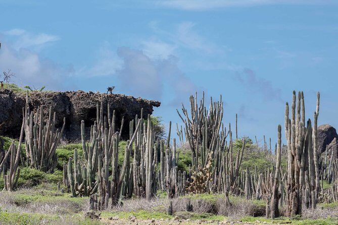 Private Photography Tour - Why This Tour Gives You More Than Just Photos