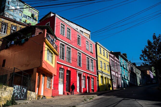 Private pre/post cruise tour Valparaiso & Casablanca Wine Valley - Scenic Drive and the Coastal Range