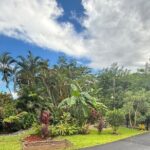 Private Puerto Rican Cooking Class with Cocktails Near San Juan - Practical Details and Considerations