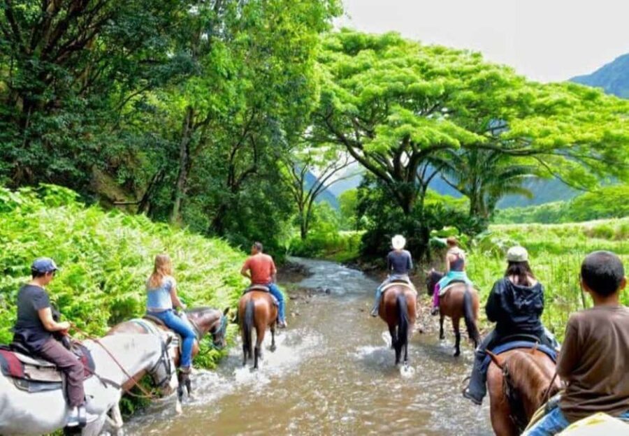 Private Punta Cana Full-Day Safari & Nature Adventure - Who Should Consider This Tour?