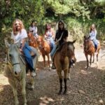 Private: Punta Cana: Horseback Riding Tour with Sunset - What Makes This Tour Stand Out?