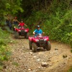 Private Quad Bike Tour in Palomino - An In-Depth Look at the Quad Bike Tour in Palomino