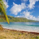 Private Rincón Beach & Bacardi Island from Punta Cana - An In-Depth Look at the Tour Experience