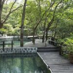 Private Rincon de la Vieja Volcano Adventure Tour From Dreams Las Mareas - The Practical Aspects