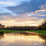 Private River Tour by Speedboat in the Amazon, Lily Pads & Nature - The Sum Up: Who Is This Tour Best For?