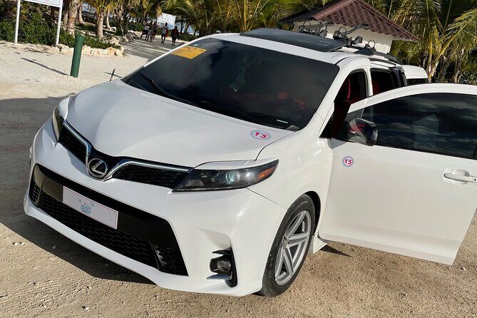 Private Round Trip Punta Cana Airport Hotel/Villa Transfer - Who Should Book This Transfer?