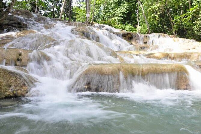 Private Roundtrip Transfer from Montego Bay to Dunn's River Falls - Exploring the Details of the Transfer Experience