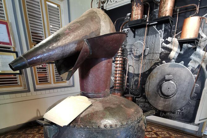 Private Rum Matnik and Beach Tour - The Sum Up: Who Is This Tour For?