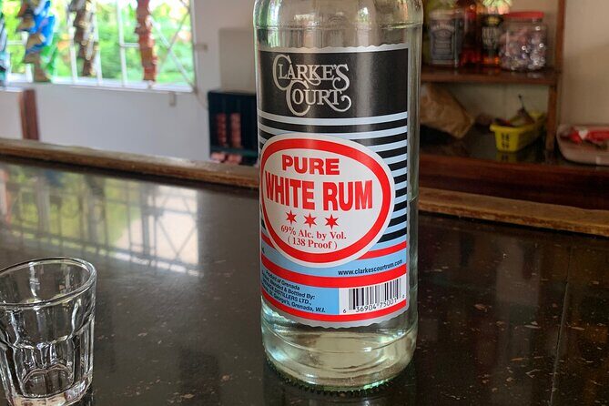 Private Rum Tasting and Bar Lounging at D Don's in Grenada