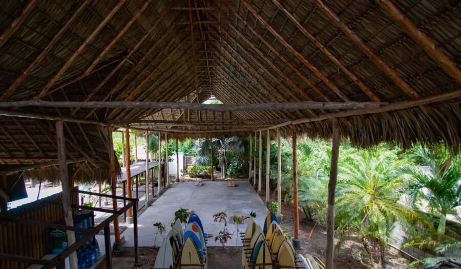 Private: Rural & Urban Dominican Life Tour: Flavors, Fields - What Makes This Tour Stand Out?