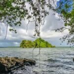 Private Samaná: Los Haitises Park, Caño Hondo & Yanigua Tour - Practical Details & Tips for the Tour