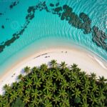 Private: Samaná Whale & Cayo Levantado Luxury Day Trip - Who Will Love This Tour?