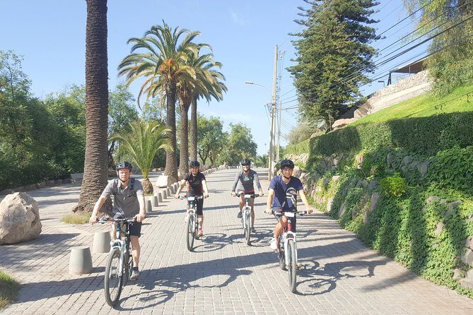 Private San Cristobal Hill & Metropolitan Park Santiago Bike Tour - What the Reviews Say