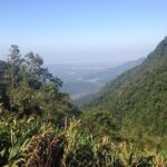 Private Santos and Guaruja Tour from São Paulo - Authentic Experiences and Real Guest Insights