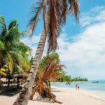 Private: Saona Island Full-Day Escape with Meals & Beverages - Key Points