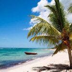 Private: Saona Island Premium & Mano Juan Day Escape - Practical Details and Tips