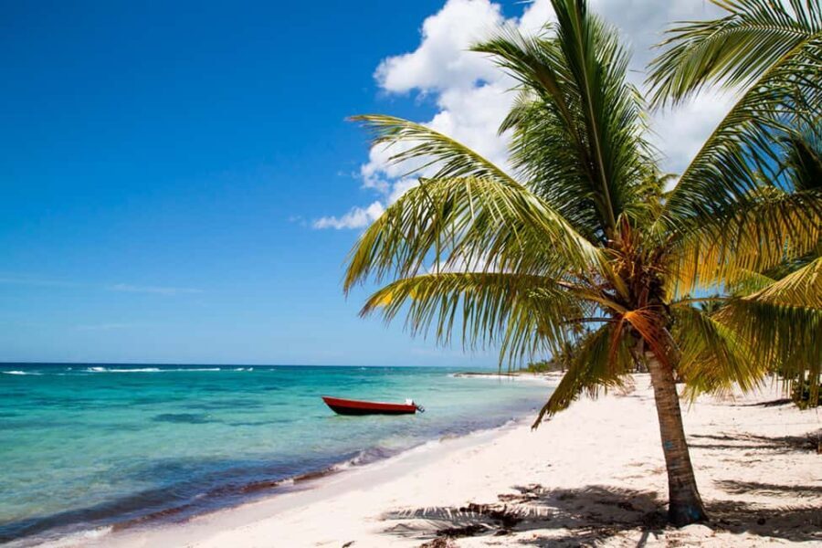 Private: Saona Island Premium & Mano Juan Day Escape - Practical Details and Tips