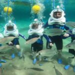 Private: ScubaDoo Underwater Scooter and Snorkel Tour - A Closer Look at What to Expect