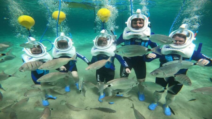 Private: ScubaDoo Underwater Scooter and Snorkel Tour - A Closer Look at What to Expect