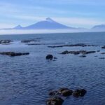 Private Shore Excursion Tour to Puerto Montt, Puerto Varas and Frutillar - Guide Quality & Flexibility