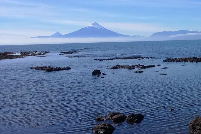 Private Shore Excursion Tour to Puerto Montt, Puerto Varas and Frutillar - Guide Quality & Flexibility