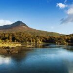 Private Short Excursion to Tierra del Fuego National Park - Transport, Timing, and Practicalities