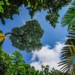 Private Shuttle from La Fortuna to Jacó Beach - Final Thoughts: Who Would Love This Experience?