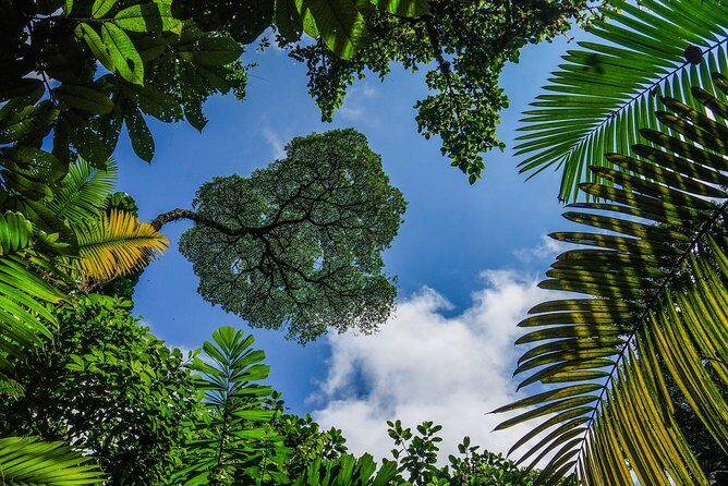 Private Shuttle from La Fortuna to Jacó Beach - Final Thoughts: Who Would Love This Experience?