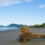 Private Shuttle From San Jose Airport To Jaco Beach Hotels - Why You’ll Love This Experience